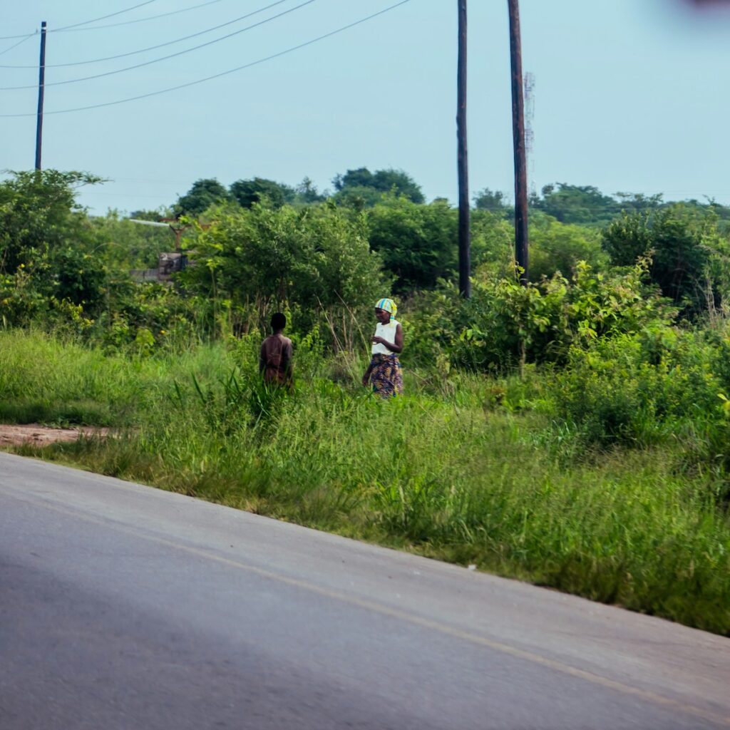 A group of people walking across a lush green field