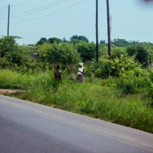 A group of people walking across a lush green field